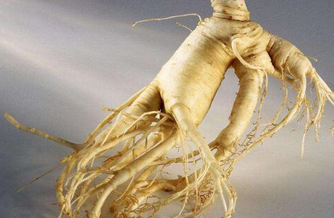 人参虽好,但不是人人都适合吃,这8类人群不宜吃人参__