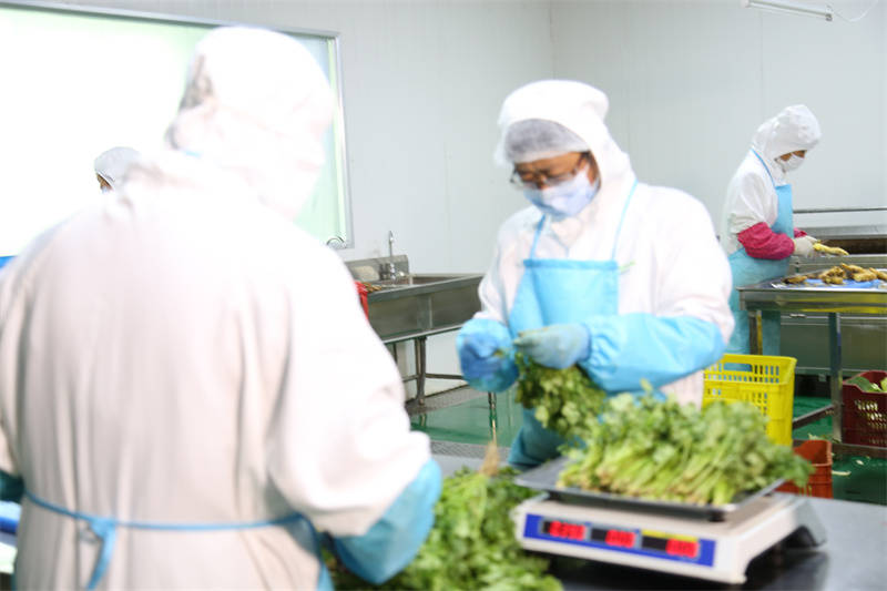 奉贤食材配送公司上海沪鑫餐饮卓越服务