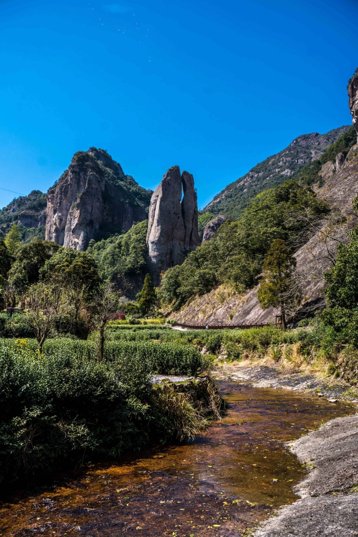 阳春三月来雁荡山上春山