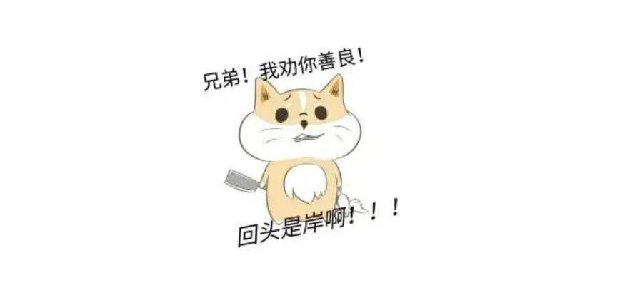 一只展虫的忏悔录