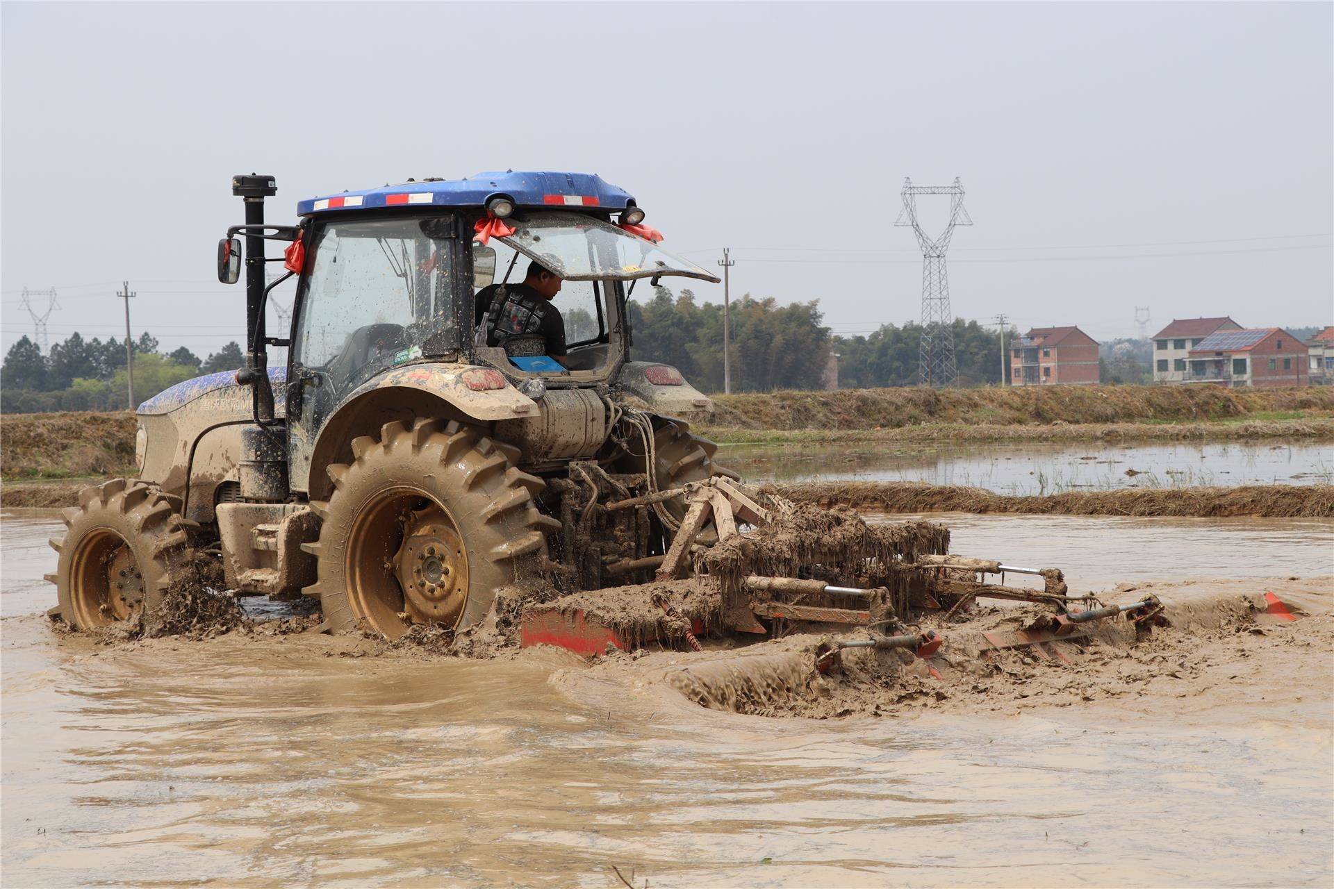 春耕正当时早稻播种忙