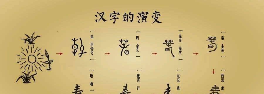 到了近代以后,汉字又发生了进一步的演变,数量也不断地增加.