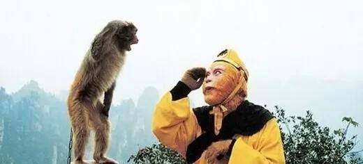 原创西游记吴承恩为什么要将猴子与猪作为文章的主要描写对象