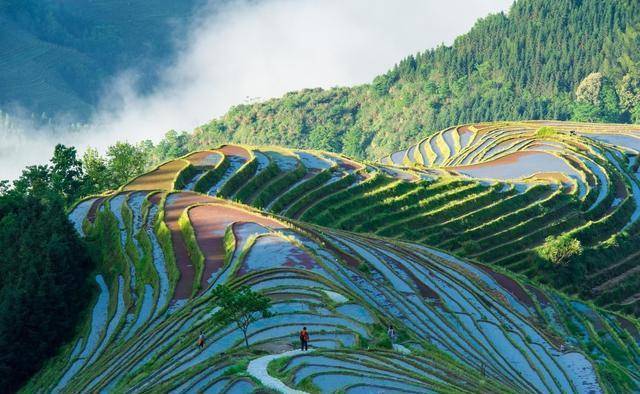 其中,这个景点不能错过_龙脊梯田_龙胜县_景观