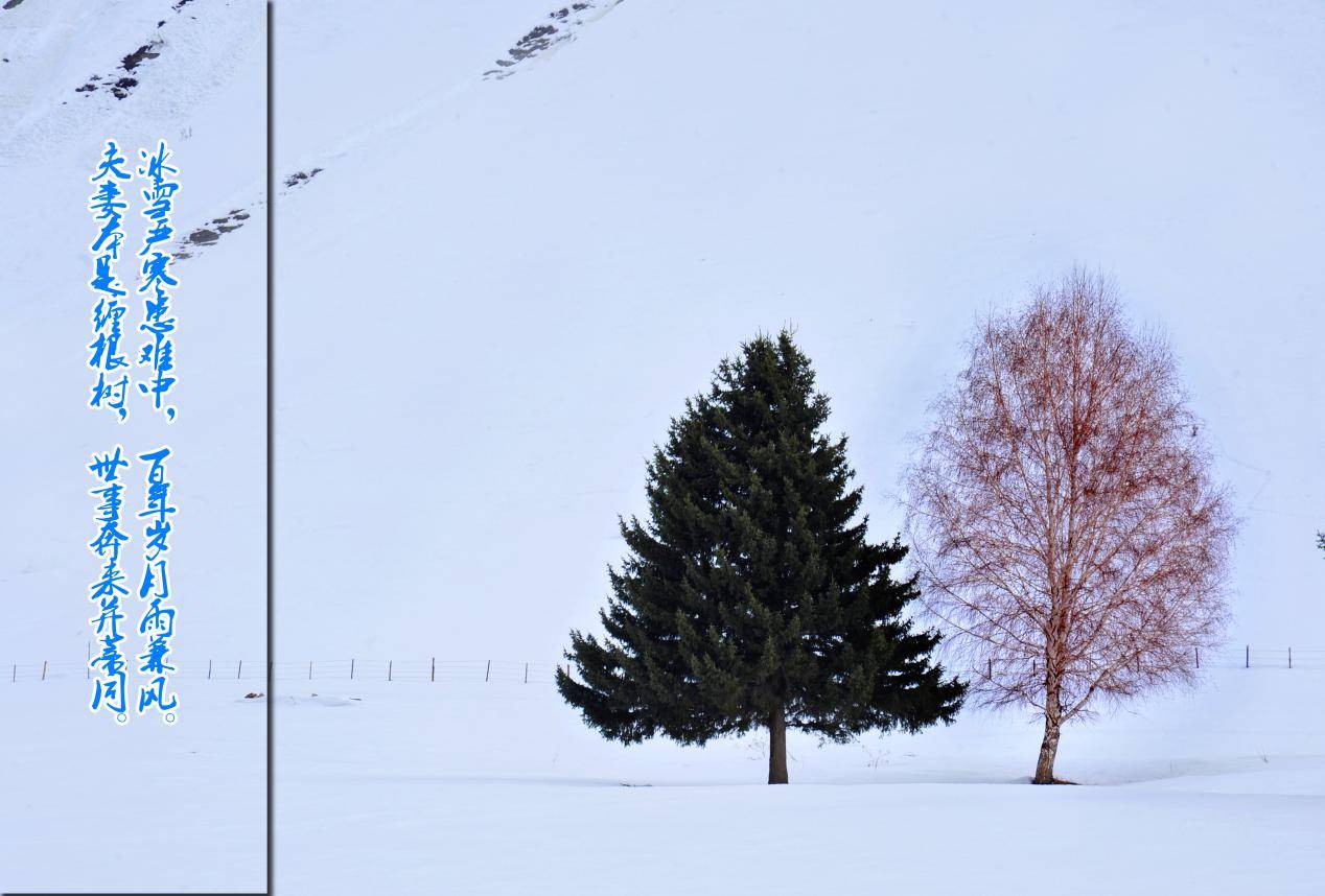 美丽之约诗画可可托海系列报道春雪可可托海