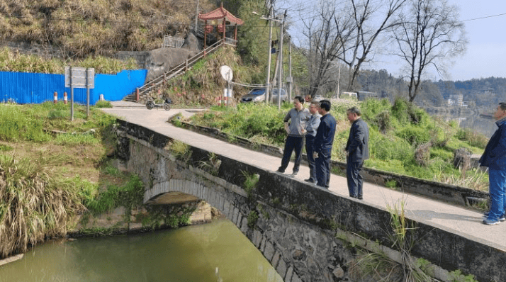 河区级县级河长们一起共度河长日