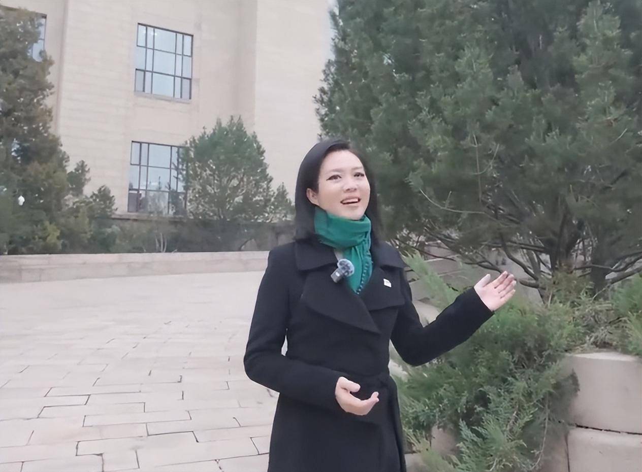 原创宝晓峰造型接地气穿黑呢子大衣围绿丝巾站室外主持最前线