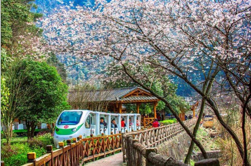 张家界天门山森林公园五日游详细行程安排张家界五日游详细行程规划