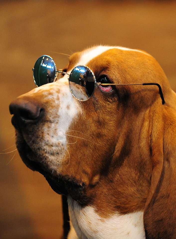 遵重制度,管住自己的口,是教养的体现_目录_畜禽_养殖