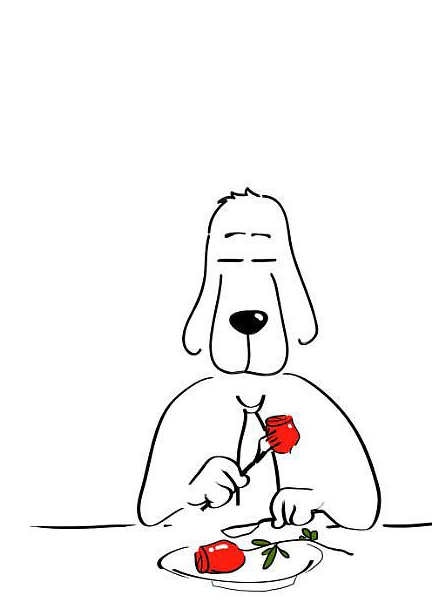 拉拉是在狼狗旺仔被人偷去的第三个月来到我们家的.