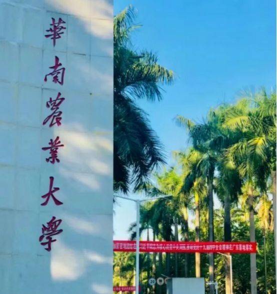 华南农业大学成人高考招生专业及报名流程