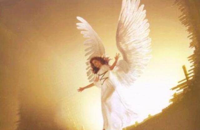 原创外国女子渴望飞翔花100万植入一对骨肉相连的翅膀后来怎样了