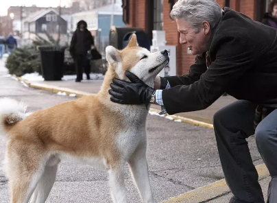 忠犬八公的故事一部让你泪流满面的好电影强烈推荐