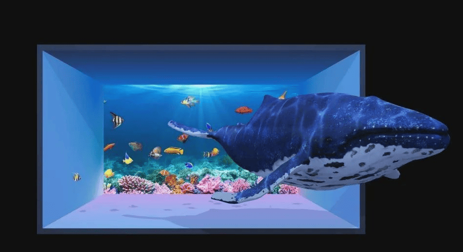 深圳全息投影公司哪家比较好_视频_图像_效果