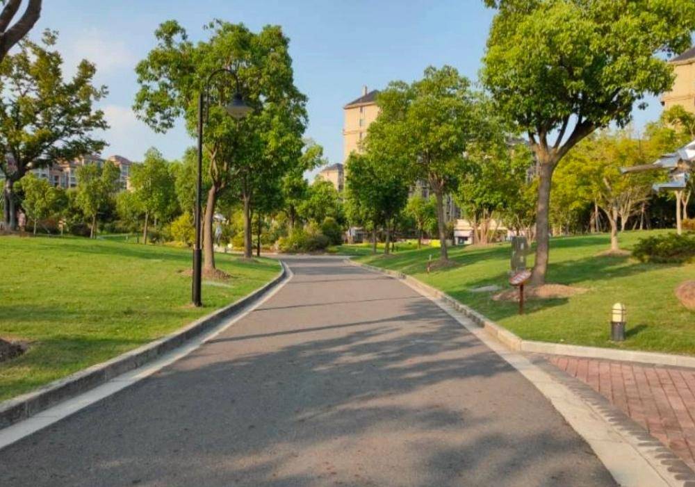 上海金山新城公园美到令人心旷神怡