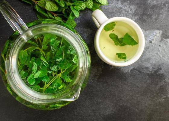 原创车前草是个宝用它来泡水喝或能辅助解决5个常见问题