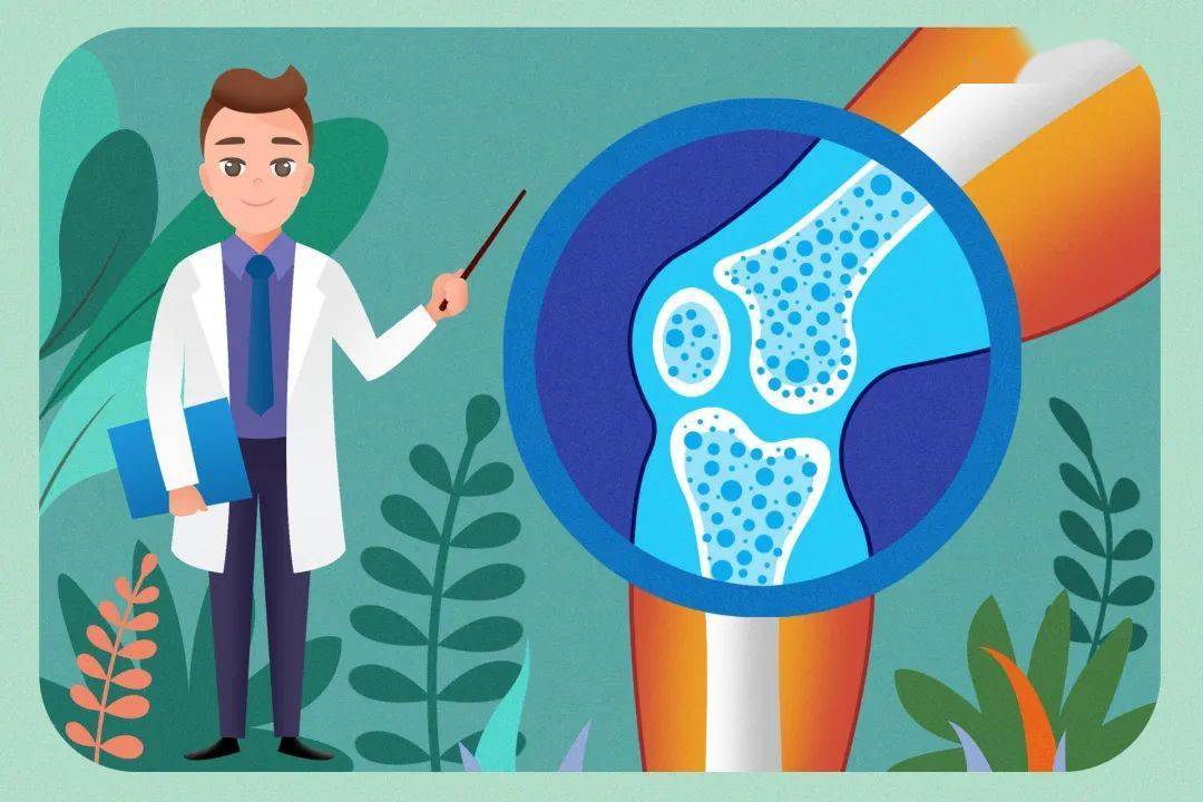 骨骼_骨质疏松症_骨密度