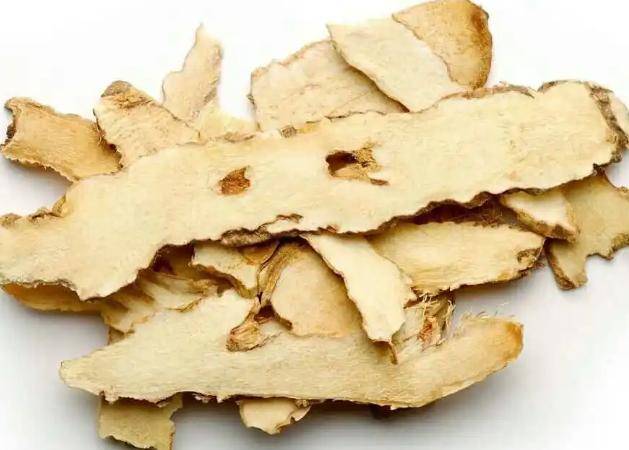 提醒:黄芪水的副作用,要了解_的作用_人体_功效