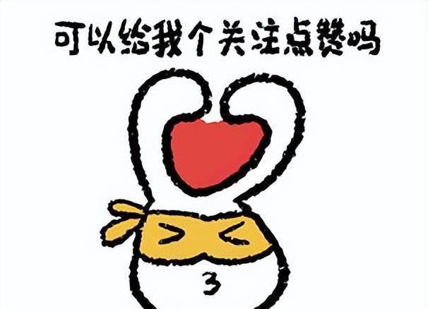 上海这一夜妖艳四射的钟楚曦和金晨败给了全裹出镜的蒋勤勤