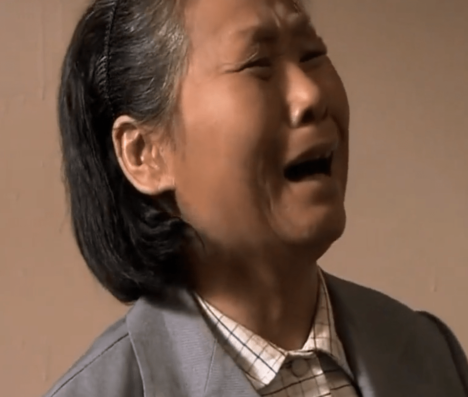 电视上正在播《任长霞》,林永健看"寇大妈",一拍大腿,就是她了!