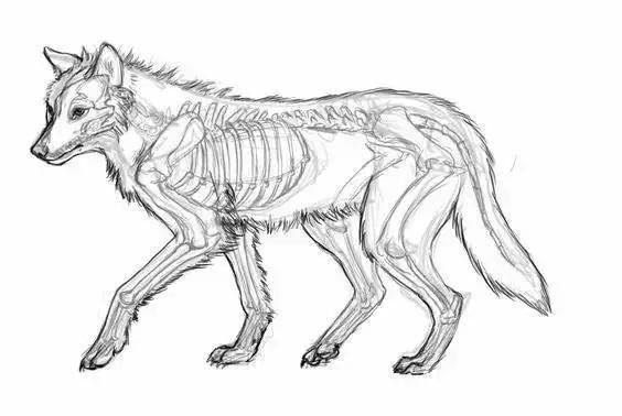 【成都绘屏教育】干货收藏,1000个简笔绘画教程!_画法_画笔_豹子