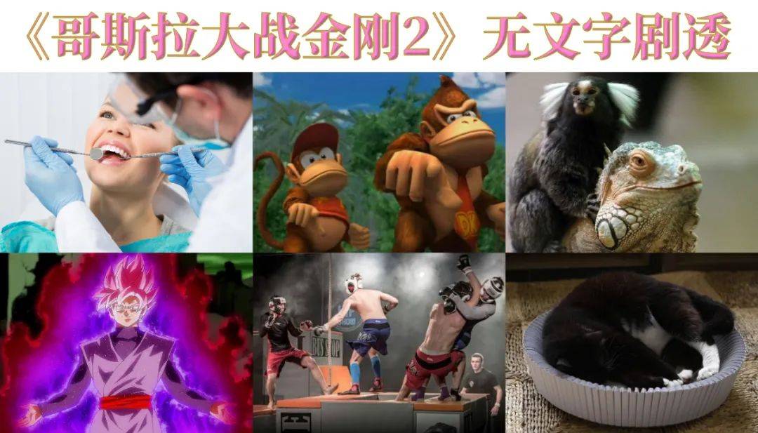 哥斯拉_金刚_怪兽