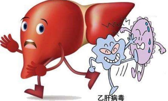 慢性乙肝急性乙肝患者的肝功能通常会受到显著影响,但大多数患者在