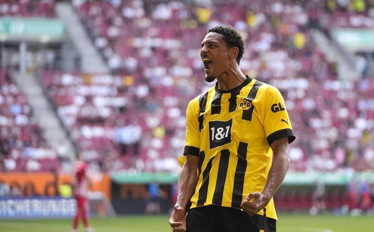 从确诊睾丸癌,到非洲杯冠军!塞巴斯蒂安·阿莱的复出之路!