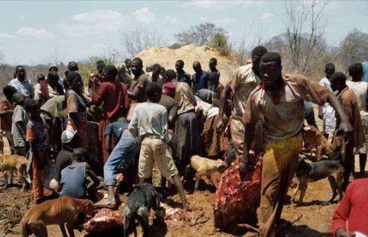 原创被富二代排队追曾火爆全球的最美黑人女孩后来过得如何