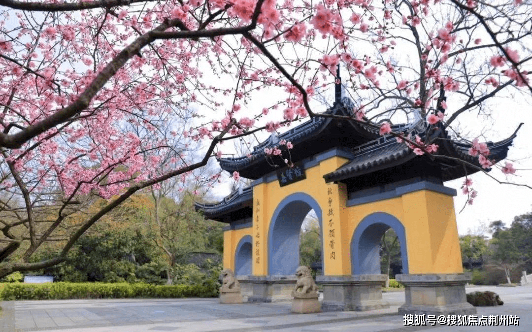 常州竹林壹号售楼处电话路劲美的竹林壹号欢迎您常州