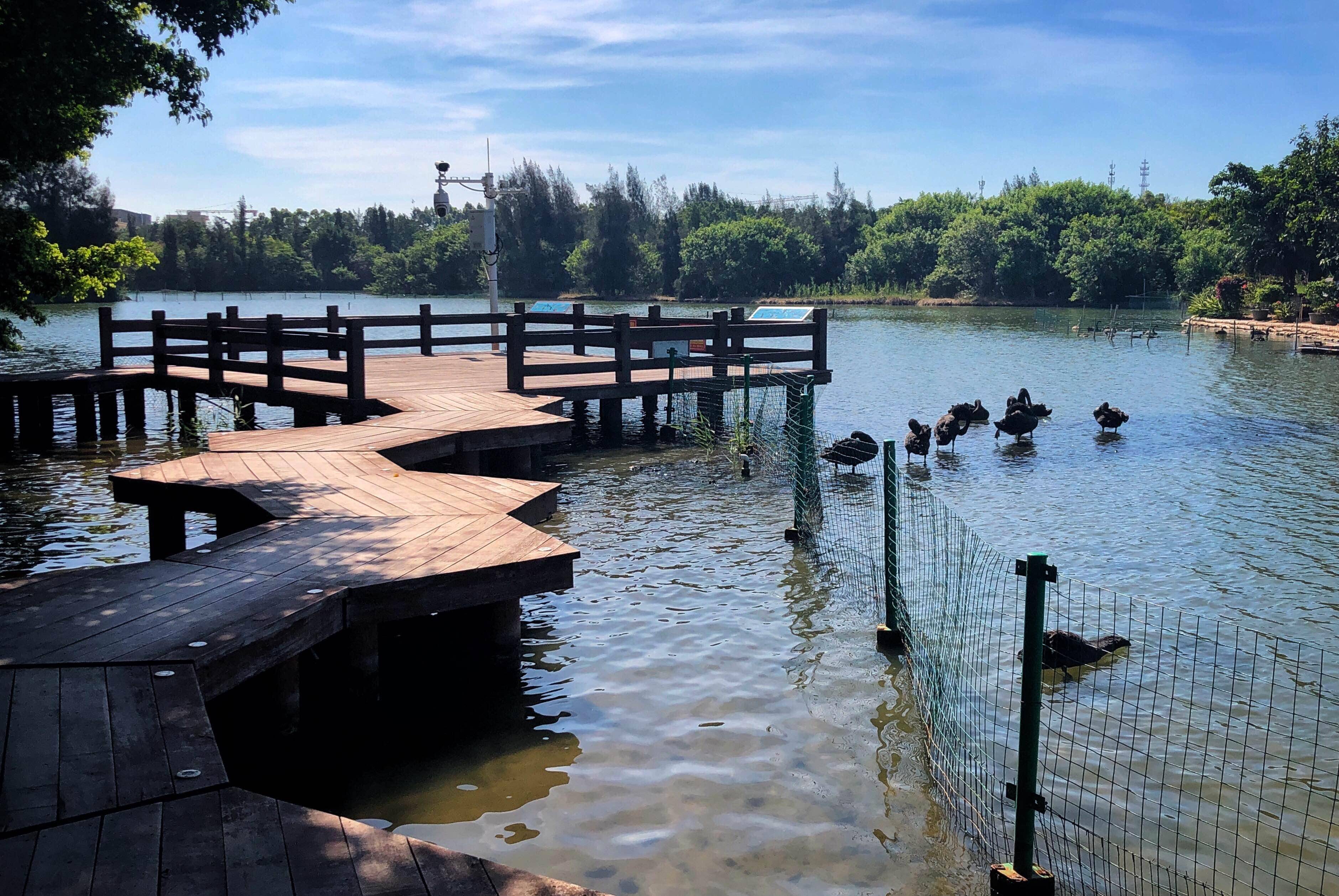 厦门跟团游四天三晚,跟团厦门四日游价格