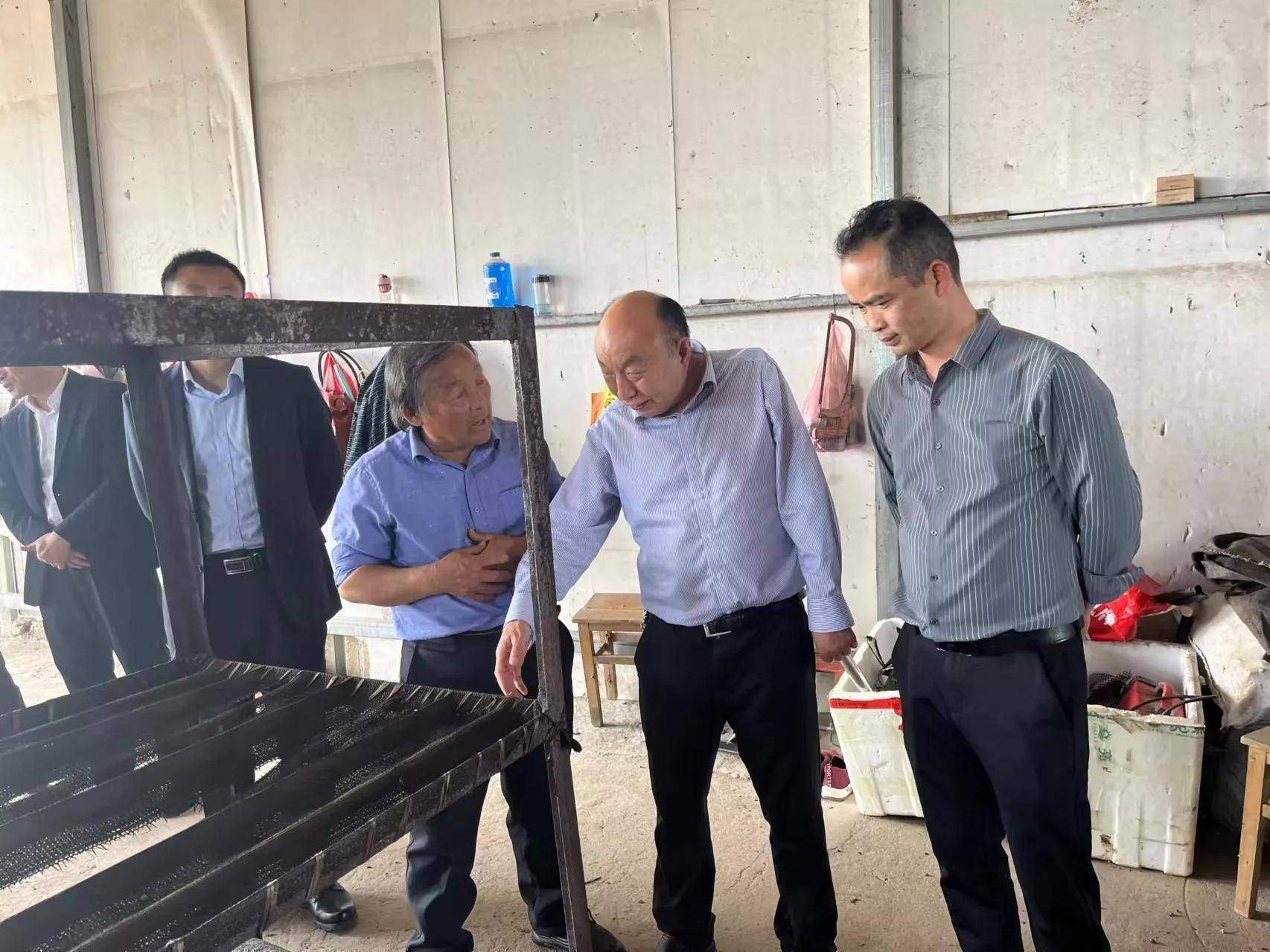 蘑菇大王丁伦保率巢湖市柘皋镇汪桥村两委到春红食用菌合作社参观