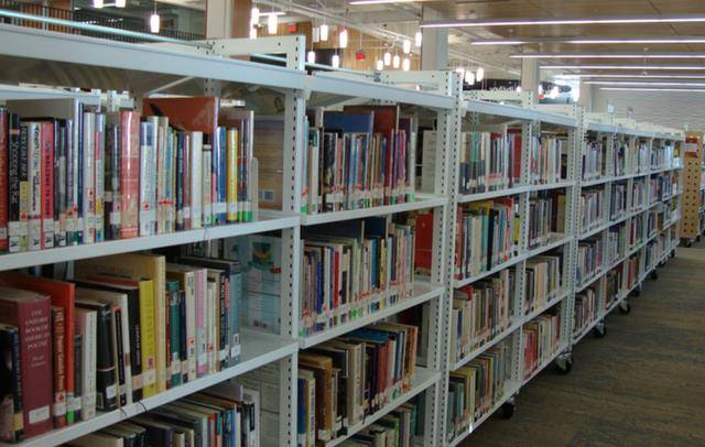 丝毫不在乎这些,他一心只扑在学习上,除了宿舍和教室,他就泡在图书馆