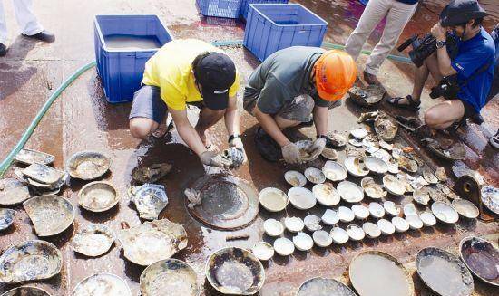 村民捞出沉船138件文物,价值2个亿,被抓后狂言:为何专家能挖宝_打捞