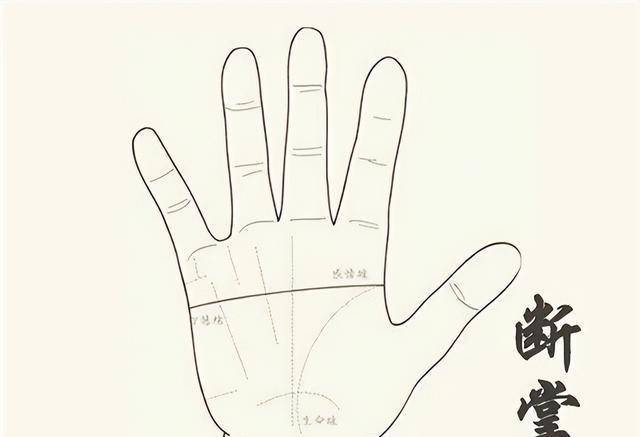 俗语断掌一条线富贵不相欠是什么意思你是断掌吗