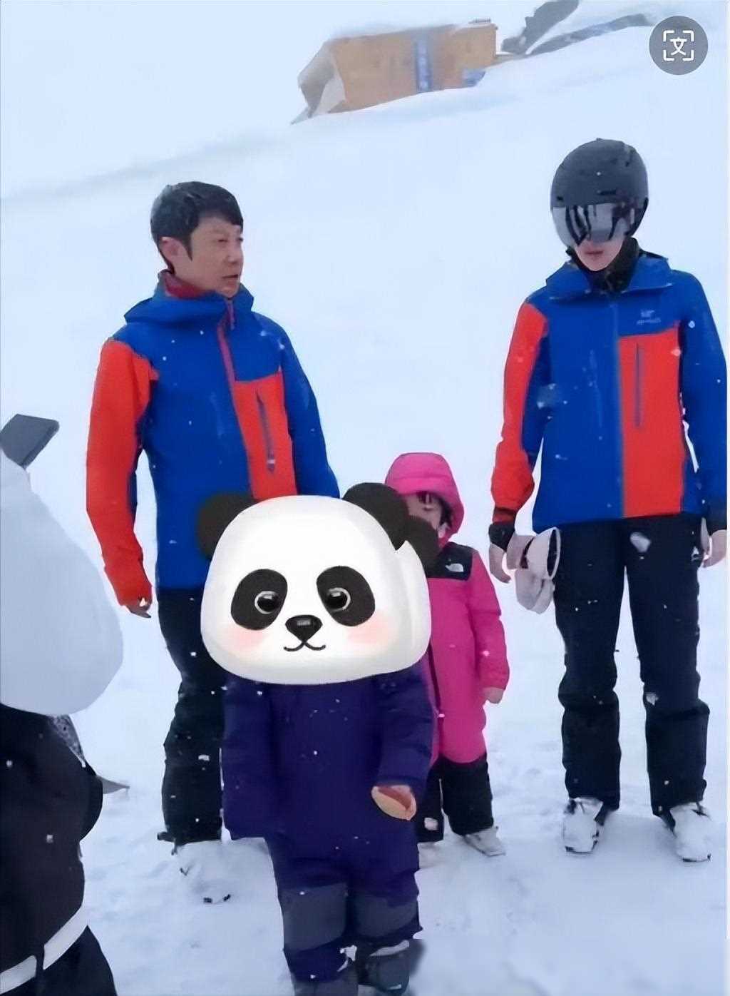 原创撒贝宁家人同台旅游混血龙飞凤胎齐亮相人人赞叹他娶对了