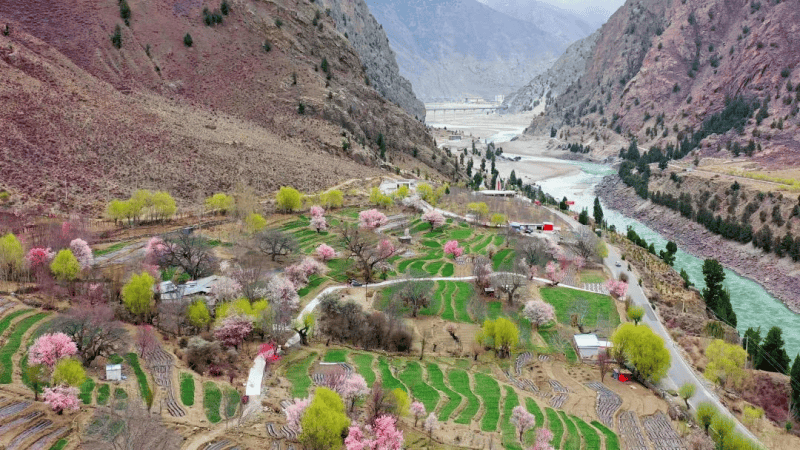 西藏林芝第二十一届桃花旅游文化节朗县分会场活动圆满落下帷幕