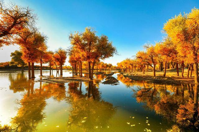 内蒙游玩线路安排找网友推荐的私人靠谱导游体验超赞