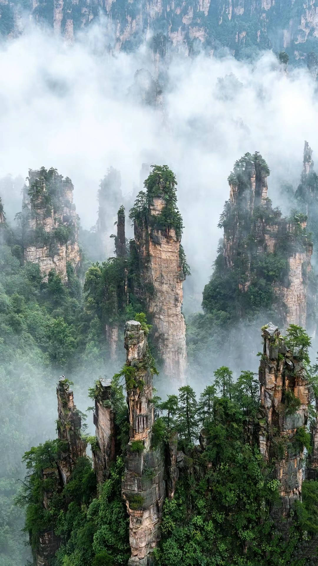 张家界3天2晚报团全攻略_阿洁_景点_住宿