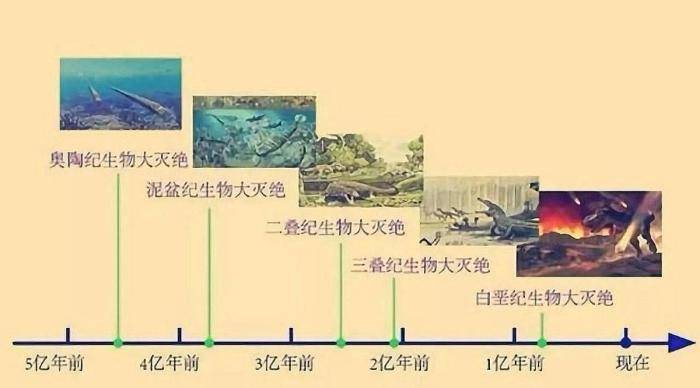 第三次生物大灭绝图片