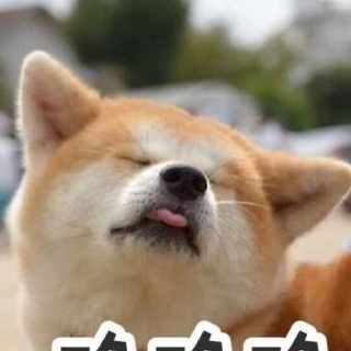 果然世界上所有的狗子都有一个共同的名字