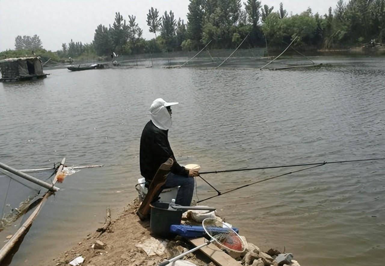 新手必看，码头港钓尾，排洪闸上钓两边的秘密攻略！_搜狐网