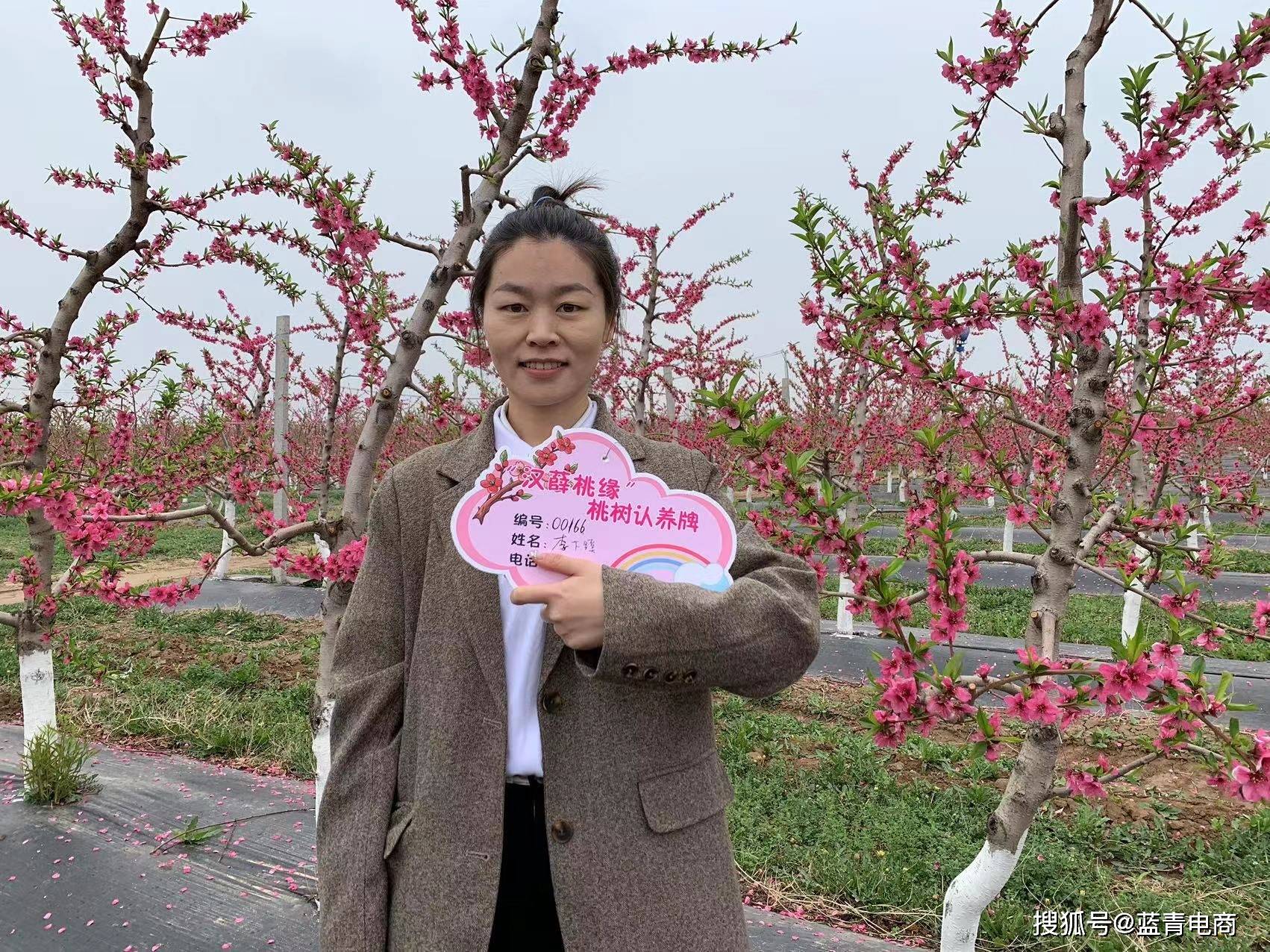 桃花树牌图片