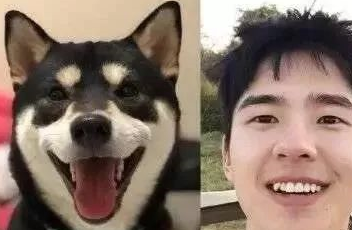 原创明星和狗子大撞脸第一位可真是太像了