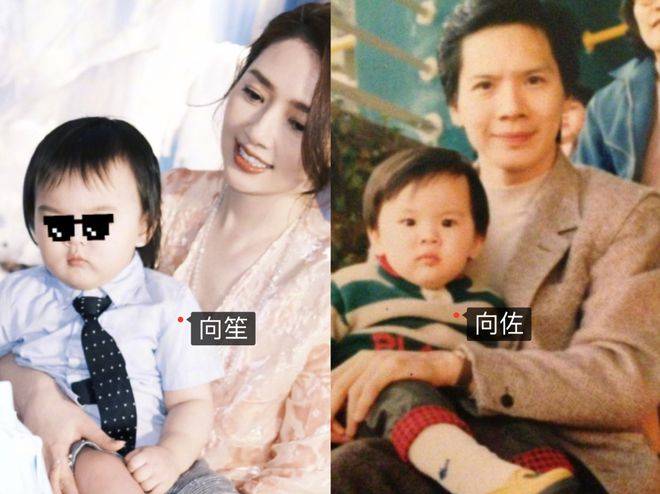 郭碧婷3岁女儿:帮妈妈获奖12亿,长得不像爸,向家继承人之一_向佐_向芷
