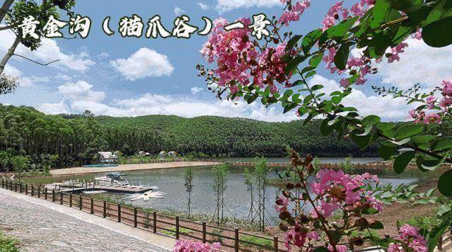 原创出发吧带着这份肇庆暑假旅游宝典感受肇庆魅力二