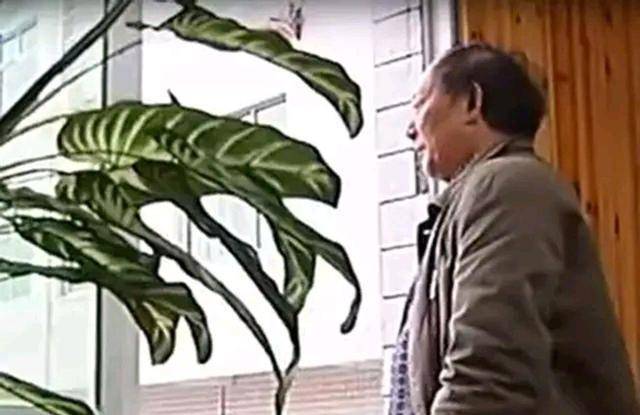 原创120块钱买走一个女大学生的青春17年的岁月谁来买单