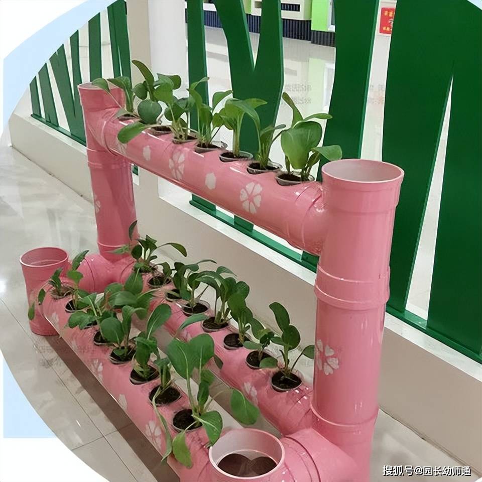 幼儿园百变创意种植,让幼儿走进生机盎然的"自然界"!