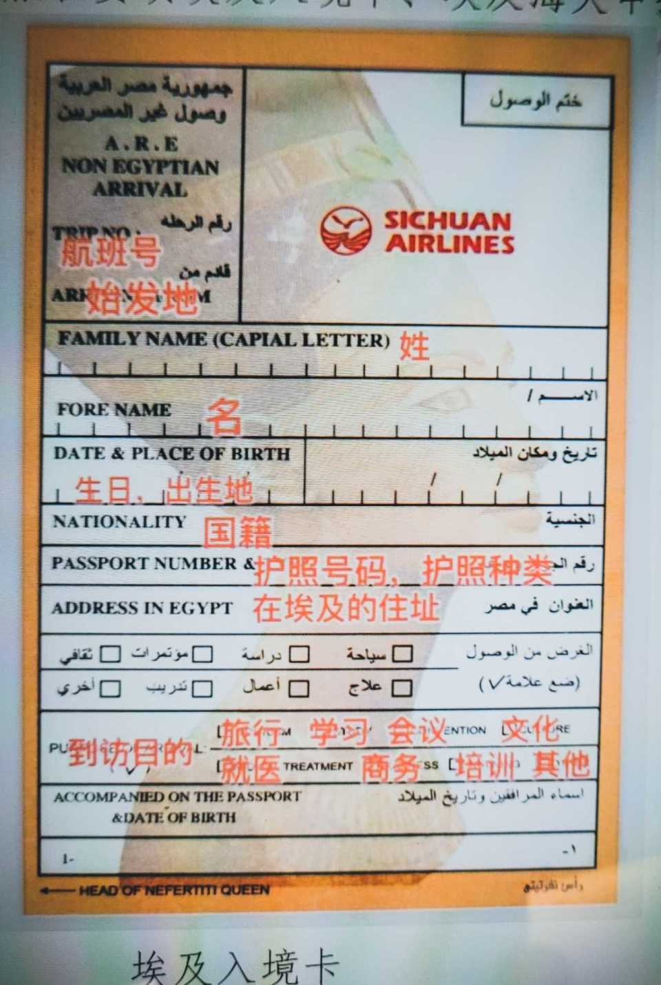 2024埃及4城游,五千年的穿越之旅全记录