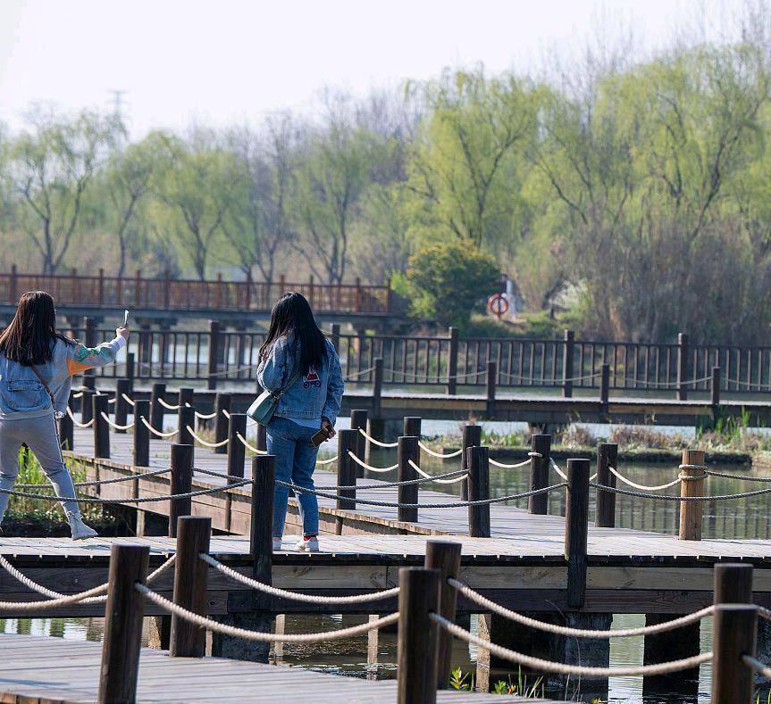 原创江苏花桥生态湿地净水公园令人陶醉其中